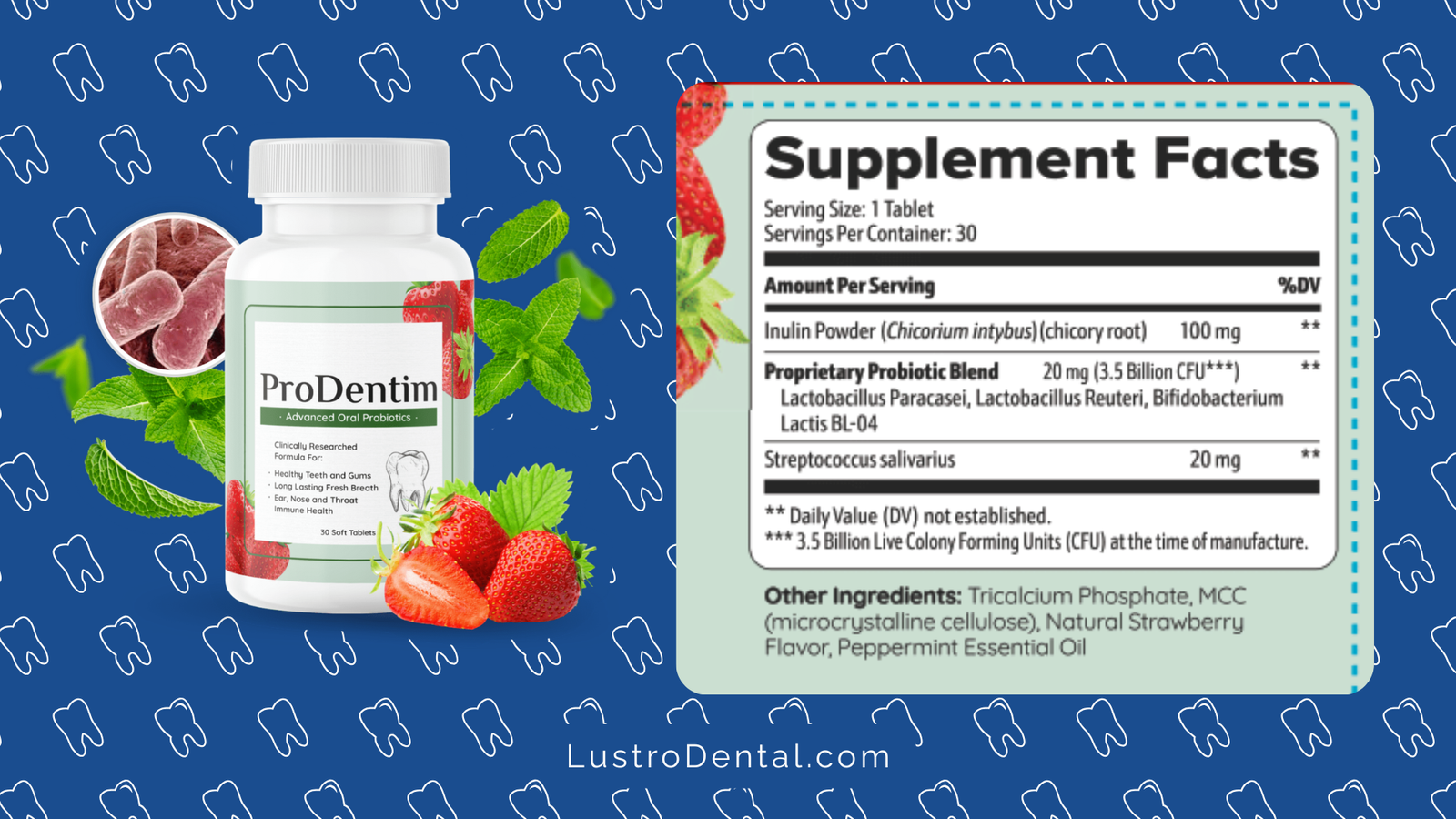 ProDentim Ingredients
